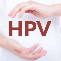 hpv
