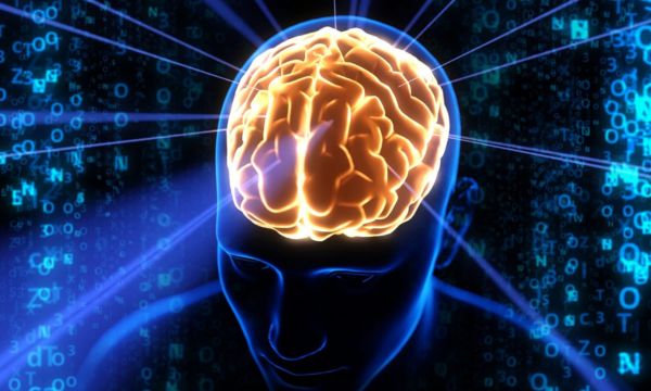 8 Brain Facts that will Surprise You
