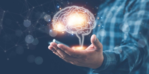 Interesting Facts about the Brain